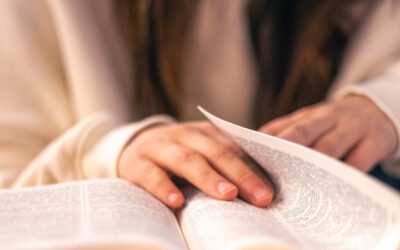 Entrez dans la bible